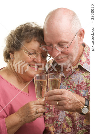 Happy Senior Couple Toasting Happy Senior Couple Toasting 3868030
