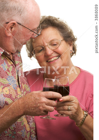 Happy Senior Couple Toasting Happy Senior Couple Toasting 3868089