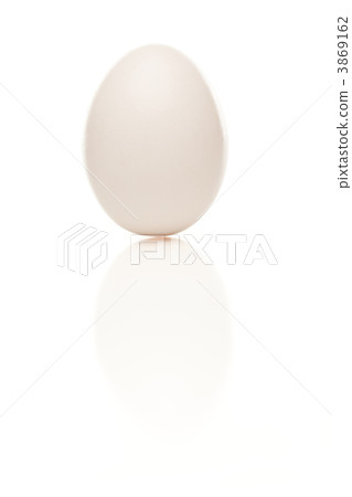 Standing Egg on a White Background Standing Egg on a White Background 3869162