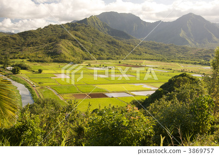 Hanalei Valley and Taro Fields 3869757