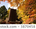 tanzan shrine, temples and shrines, nara 3870458
