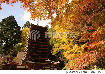 坦山聖地 寺院和神廟 奈良 3870458