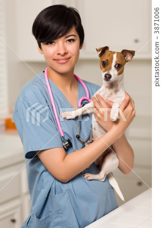 Smiling Attractive Mixed Race Veterinarian Doctor or Nurse with Smiling Attractive Mixed Race Veterinarian Doctor or Nurse with 3871006