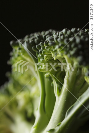 西蘭花 花椰菜 食物 3871349