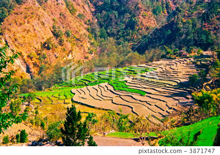 Rice terraces in the Annapurna Mountains-February 1996 (Nepal) Rice terraces in the Annapurna Mountains-February 1996 (Nepal) 3871747
