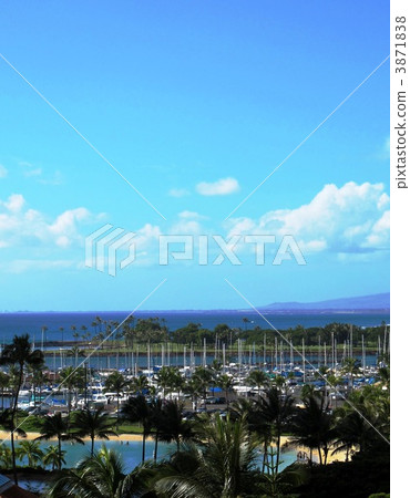 Yotto Harbor  3871838