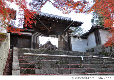 gateway of the imperial messenger, chokushi-mon, monzeki temple 3872533