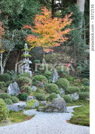 dry landscape garden, garden, Japanese Gardens 3872536