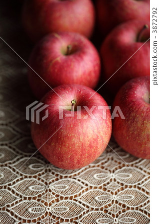 富士聖 水果 蘋果 3872792