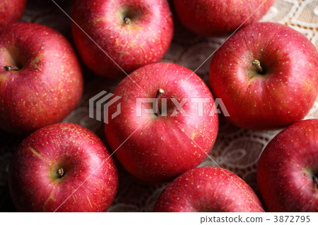 富士聖 水果 蘋果 3872795