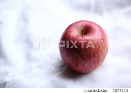 新鮮地 季節 信州 3872813