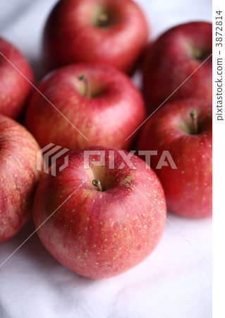 甜品 甜點 新鮮地 3872814