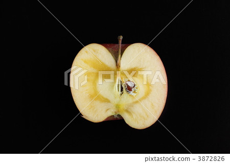 半個 信州 新鮮地 3872826