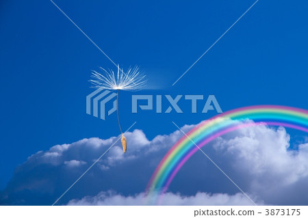 蒲公英的航班 3873175