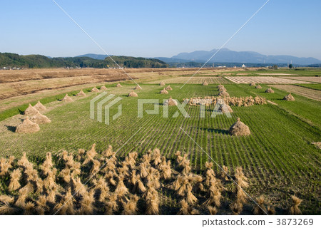 收穫後的稻田和霧島山脈 收穫後的稻田和霧島山脈 3873269