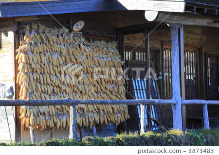 private house, farmer, corn 3873483