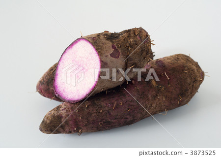 Purple yam Purple yam 3873525