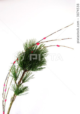 米糕花的位置在新年花·杉木的 3874538