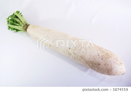 New Year merchandise · Miura radish horizontal position value New Year merchandise · Miura radish horizontal position value 3874559