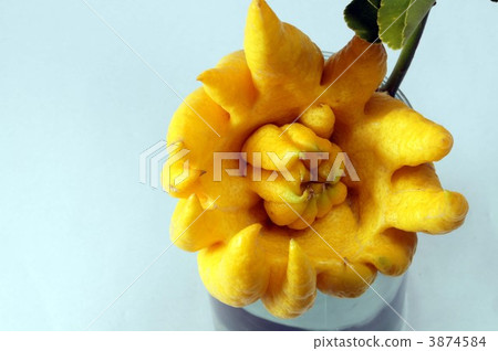 Buddhist altar 3874584