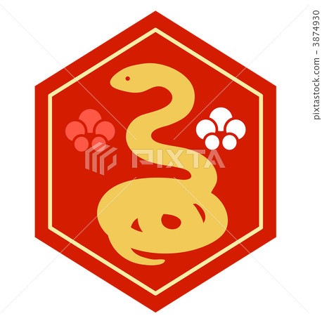 去龜殼 去龜殼 3874930