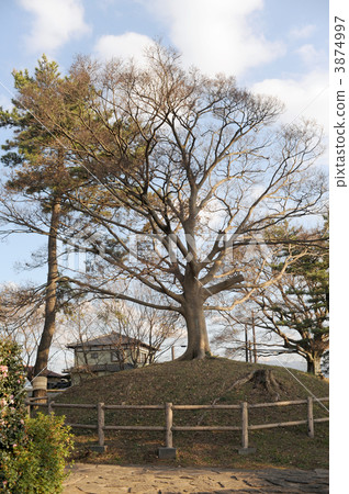 Nishikida Iriyuka Nishikida Iriyuka 3874997