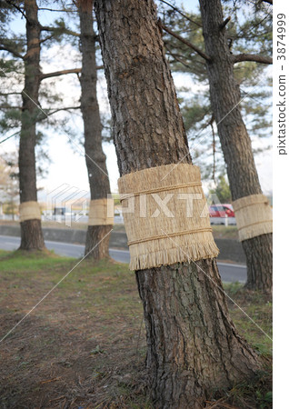 纏繞線圈 纏繞線圈 3874999