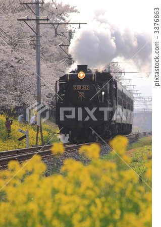 steam locomotive, steam locomotives, S L 3876863