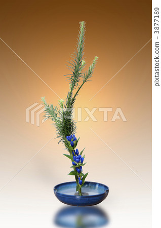 ikebana (floral arrangement), lifestyle, educate 3877189