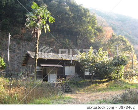 Tsubosaki station and palm tree 3878462