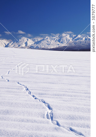 Footprint of Kita fox and Tokachidake 3879777