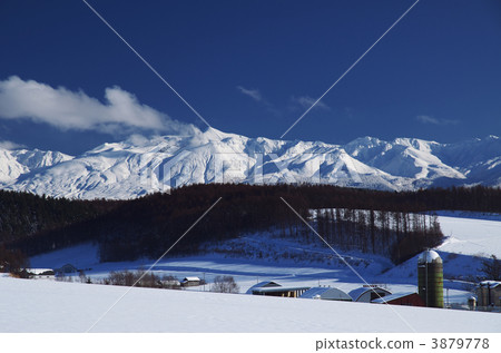 農場和十勝 3879778