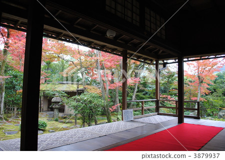 Kyoto · Myoshinji Daishoin's autumn leaves garden special release (with matcha · sweets) 3879937
