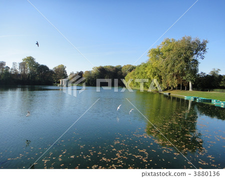 Fontainebleau castle carp pond 3880136