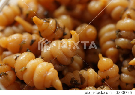 未著色的Chorogi 3880756