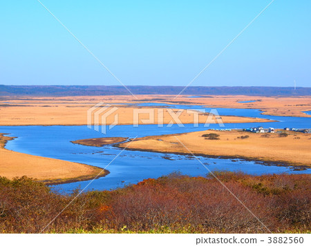 Kiritappu Mire 3882560