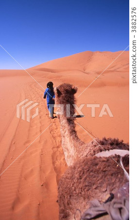 撒哈拉沙漠 3882576