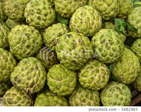 Buddha Head (Sugar Apple) (Ho Chi Minh / Vietnam) Buddha Head (Sugar Apple) (Ho Chi Minh / Vietnam) 3882965