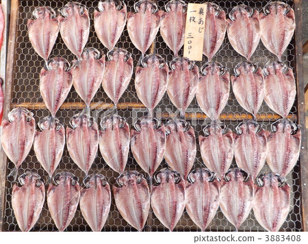 乾魚醬 乾魚醬 3883408