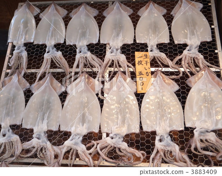 Dried fish Dried fish 3883409