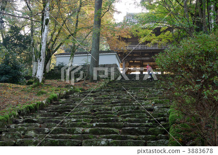 高寺廟入口石階 3883678