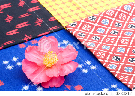 Sasanqua花和日本模式布 3883812