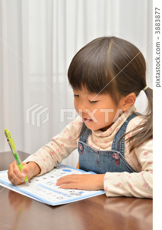 Girl studying Girl studying 3883877