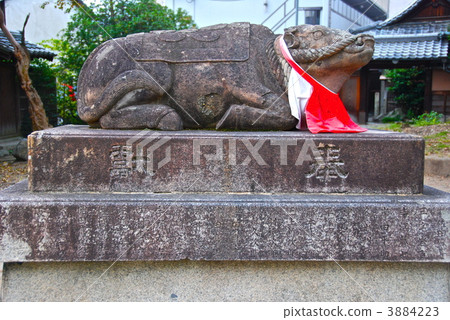 Statue of "cattle" (Kitano Tenman-gu / Kamigyo-ku, Kyoto City) 3884223