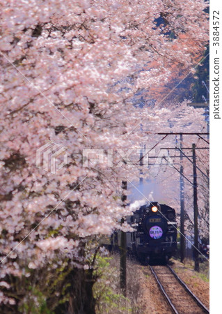 steam locomotive, steam locomotives, oigawa railway 3884572