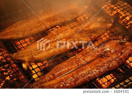 Grilled eels 3884591