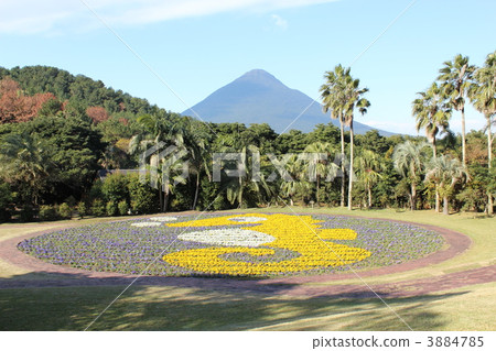 來自鹿兒島花卉公園的Kaidomiyake 來自鹿兒島花卉公園的Kaidomiyake 3884785
