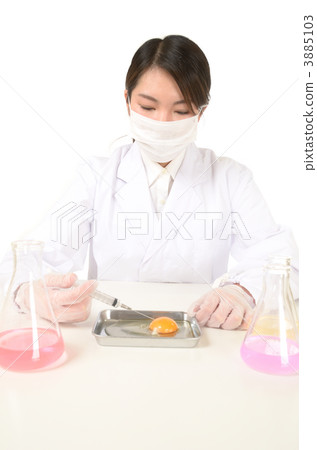 Research image 3885103