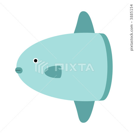 翻車魚 3885154
