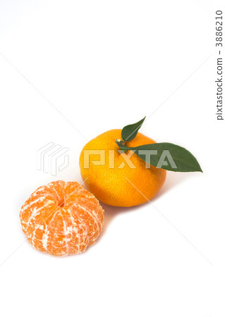 Mandarin orange  Mandarin orange  3886210